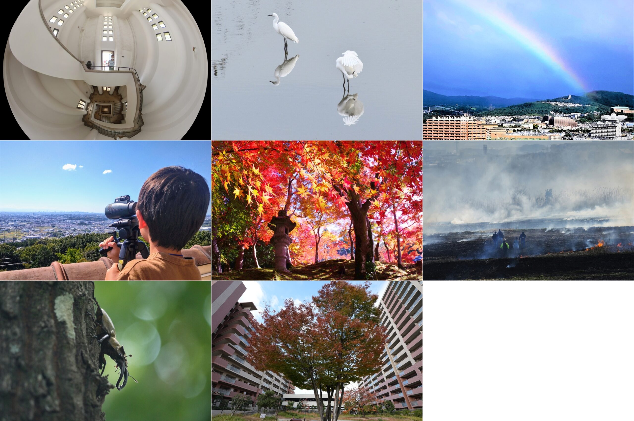 第4回コンテスト受賞作品
